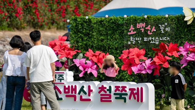 숲속 음악회. / 영주문화관광재단