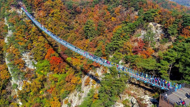 원주 소금산 출렁다리. /&nbsp;&nbsp;원주시청 관광과