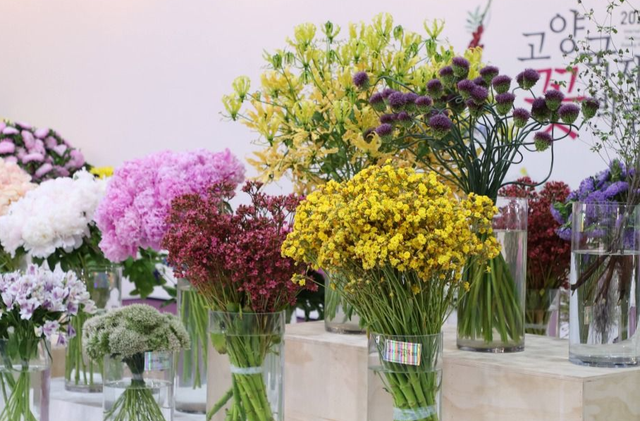고양국제꽃박람회. / 한국관광재단