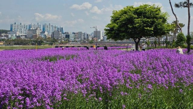 출처 한국관광공사