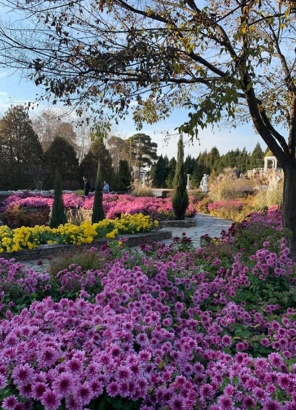 벽초지수목원 보더가든 / 벽초지수목원 공식 인스타그램