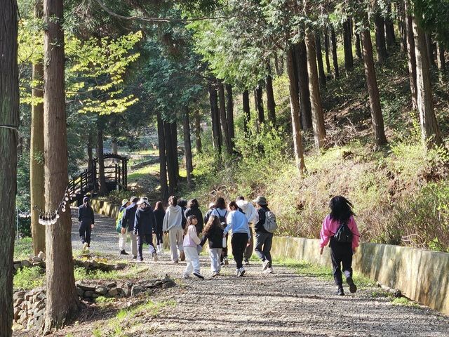 갈모봉 자연휴양림의 탐방 코스 / 숲나들e 산림휴양통합플랫폼 홈페이지