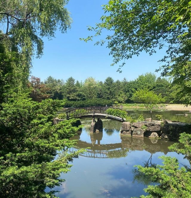 벽초지수목원 델피니움축제 /&nbsp;벽초지수목원 공식 인스타그램