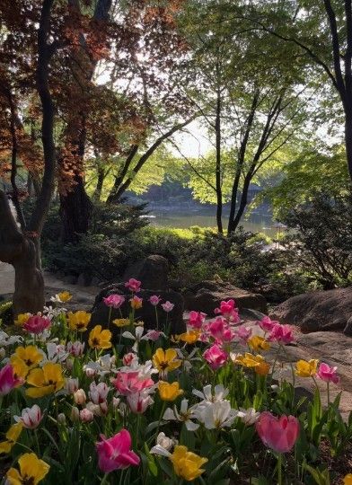 벽초지수목원의 반딪불정원 / 벽초지수목원 공식 인스타그램