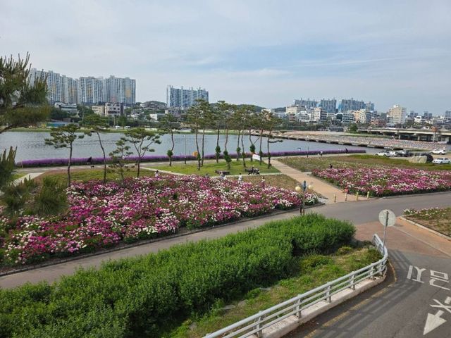 출처 한국관광공사