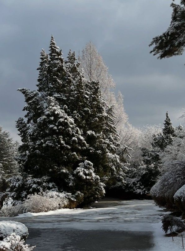 벽초지수목원의 겨울 모습 / 벽초지수목원 공식 인스타그램