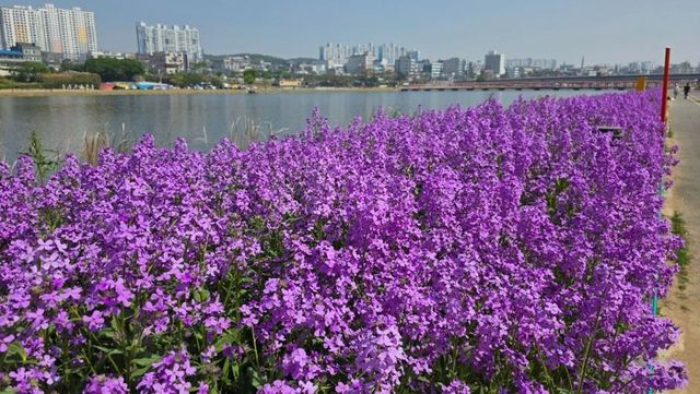 출처 한국관광공사