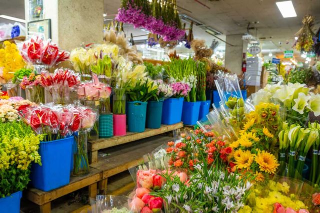 각종 꽃을 볼 수 있는 양재 꽃시장. /&nbsp;서울관광재단 제공