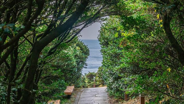 출처 한국관광공사