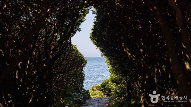출처 한국관광공사