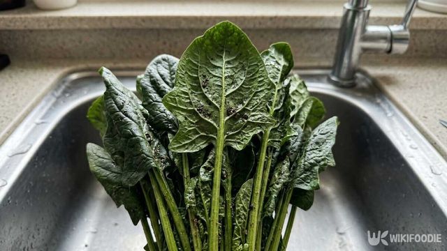 농약 잔류량이 가장 많은 식재료 1위에 오른 시금치. / 위키푸디