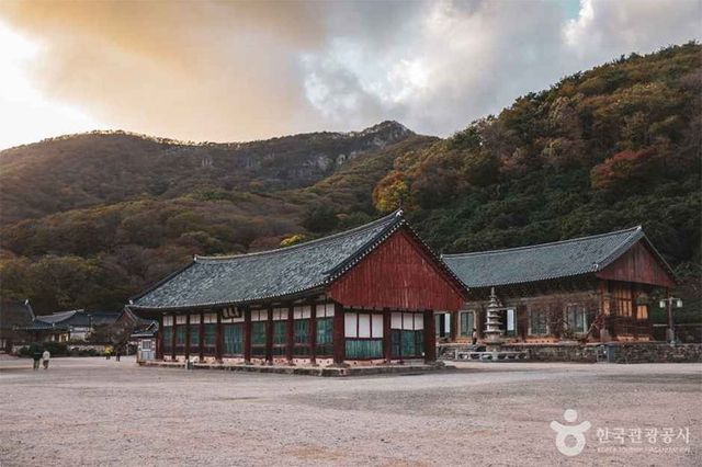 출처 한국관광공사