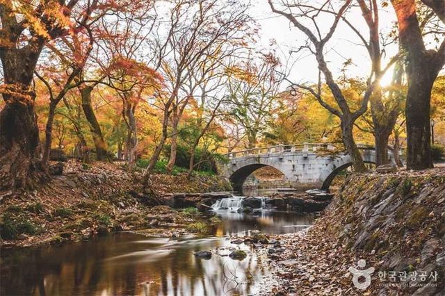 출처 한국관광공사