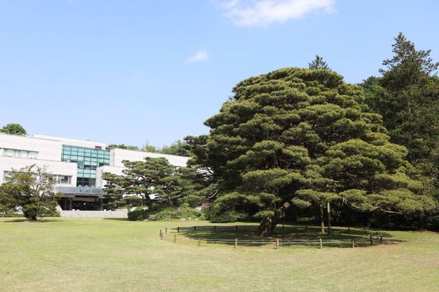 홍릉숲 / 한국관광공사