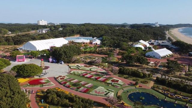 2026 태안국제원예치유박람회 / 태안국제원예치유박람회 홈페이지