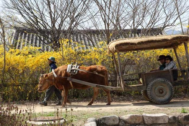 선비촌. /&nbsp;출처 한국관광공사