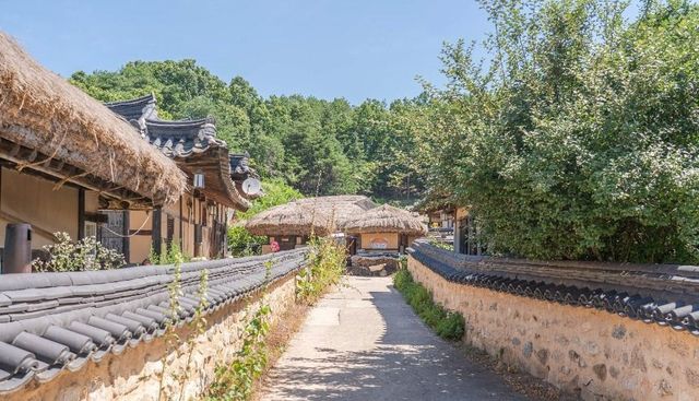 출처 한국관광공사