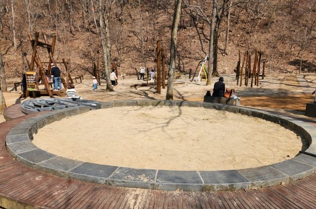 유아숲체험원 / 대전광역시 공식 블로그