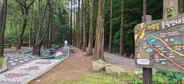 몽돌지압길 /&nbsp;대전 동구청 홈페이지