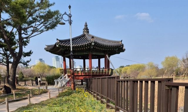 상소동산림욕장 야생초화원 / 대전 동구청 홈페이지