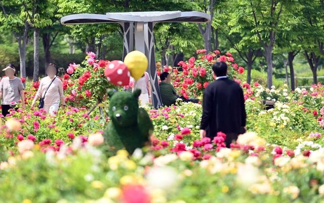 하남 미사호수공원 장미정원 / 하남시 공식 블로그