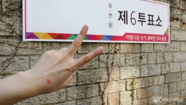 이해를 돕기 위해 AI 이미지 생성 프로그램으로 만든 참고 사진입니다. / 위키푸디