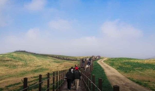서산한우목장 / 한국관광공사