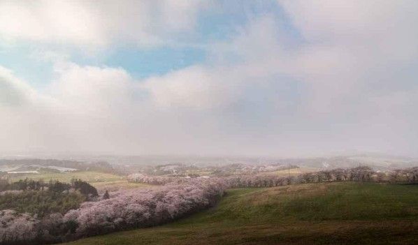 서산한우목장 / 한국관광공사