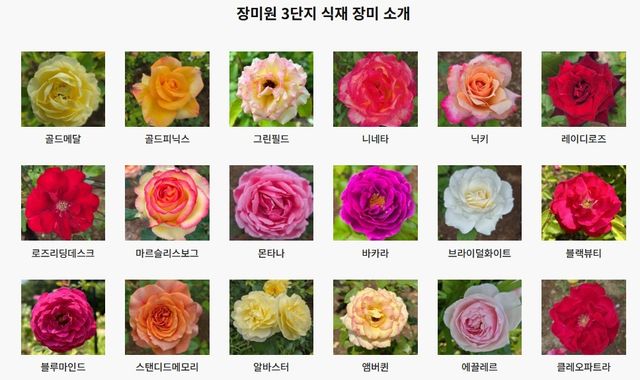 서울대공원 장미원. / 서울대공원 홈페이지