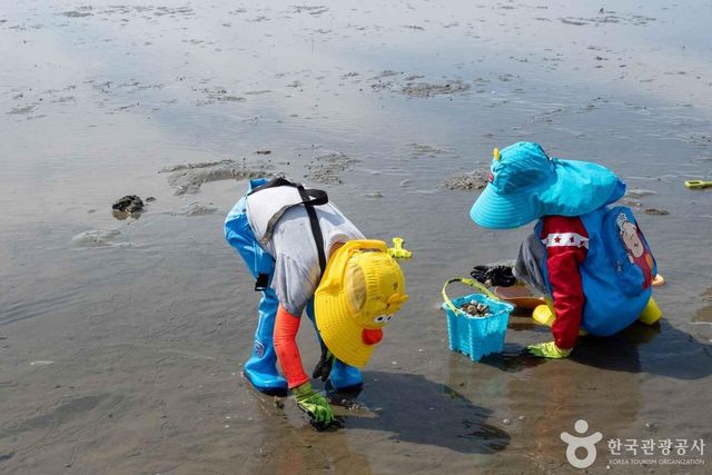 출처 한국관광공사