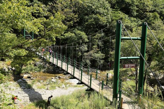 귕소 출렁다리 / 한국관광공사