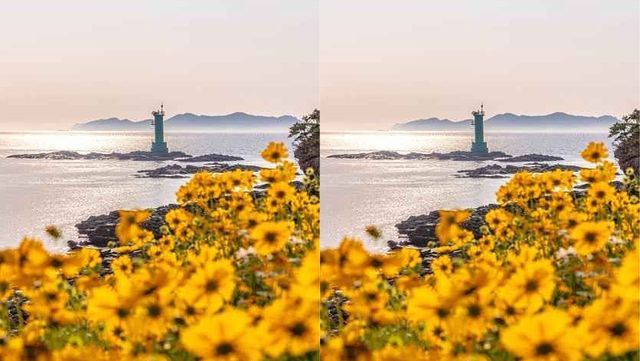 출처 한국관광공사