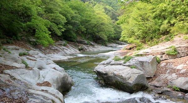 수타사 계곡 / 홍천군청 홈페이지