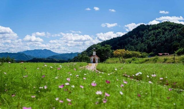 홍천 무궁화수목원 / 한국관광공사