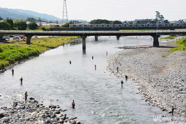 고기를 잡는 모습. /&nbsp;tamu1500-shutterstock.com