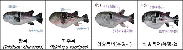 식품의약품안전처 제공