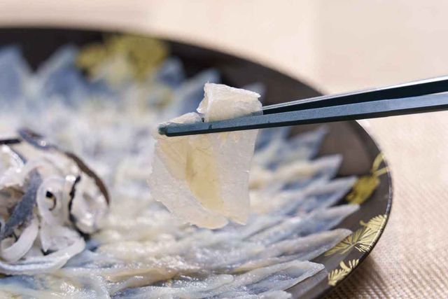 복어회. 기사 이해를 돕기 위한 자료사진. / nukopic-shutterstock.com