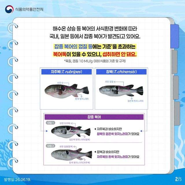 식품의약품안전처 제공