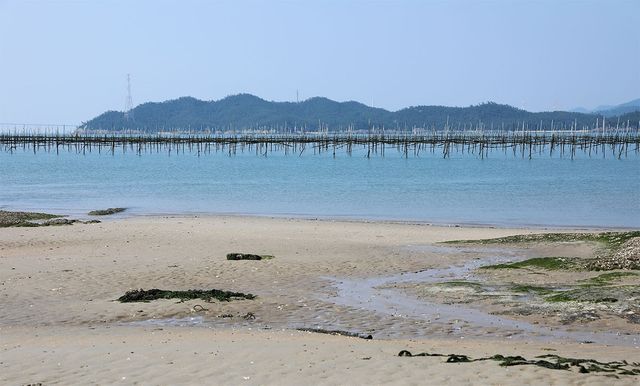 SeonDeok OH-shutterstock.com