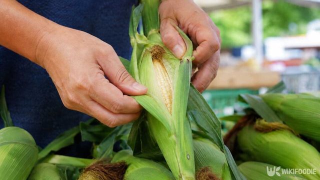 마트에서 옥수수를 고르는 모습.