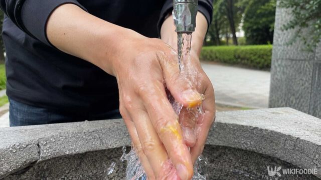 애기똥풀 자료사진. / 위키푸디