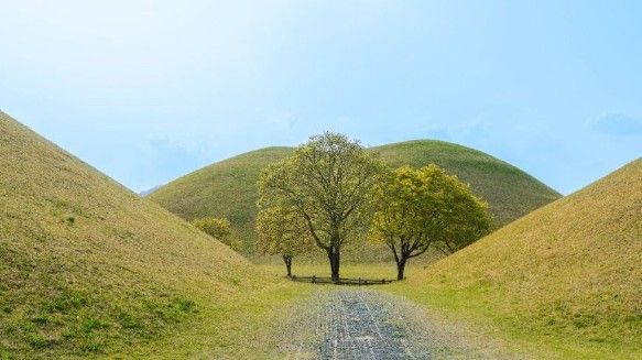 경주 대릉원 / 한국관광공사