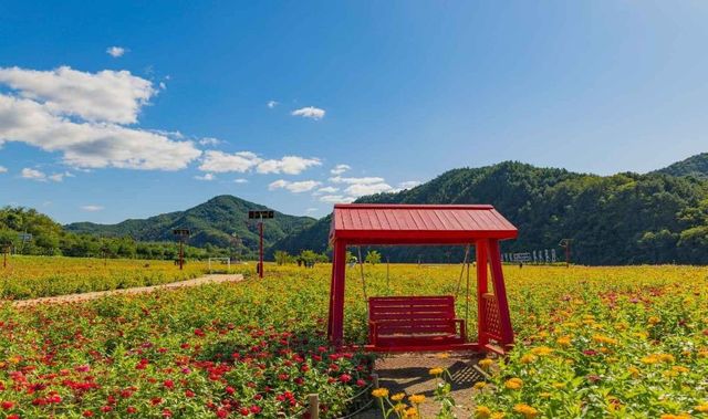 출처 한국관광공사