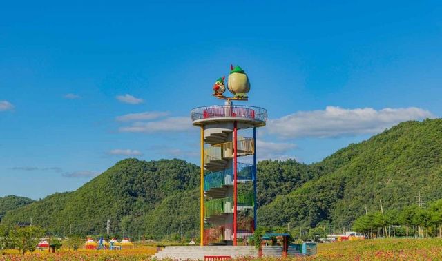 출처 한국관광공사