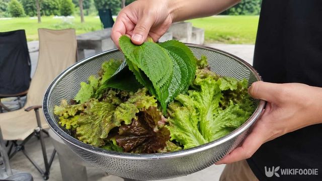 상추 세척 자료사진. / 위키푸디