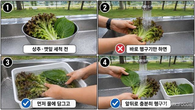 상추 세척 자료사진. / 위키푸디