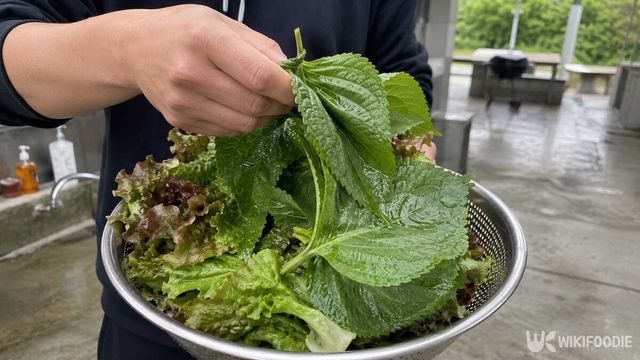 상추 세척 자료사진. / 위키푸디
