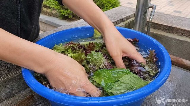 상추 세척 자료사진. / 위키푸디