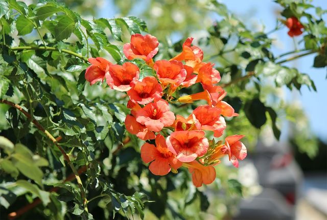KSCHiLI-shutterstock.com