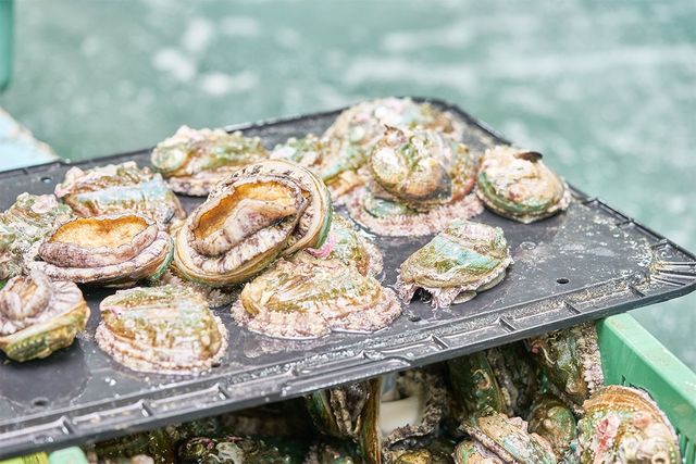 foodnjoy-shutterstock.com
